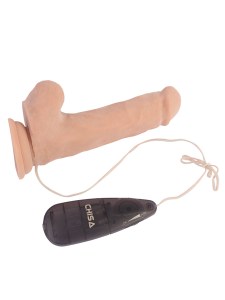 Reasitičan Vibrator  CN 101831127-5